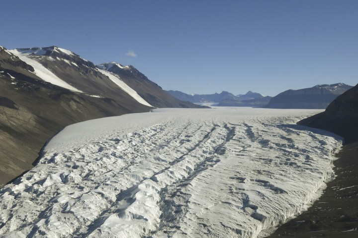 Зеленчуците са отгледани без почва дневна светлина или пестициди в
