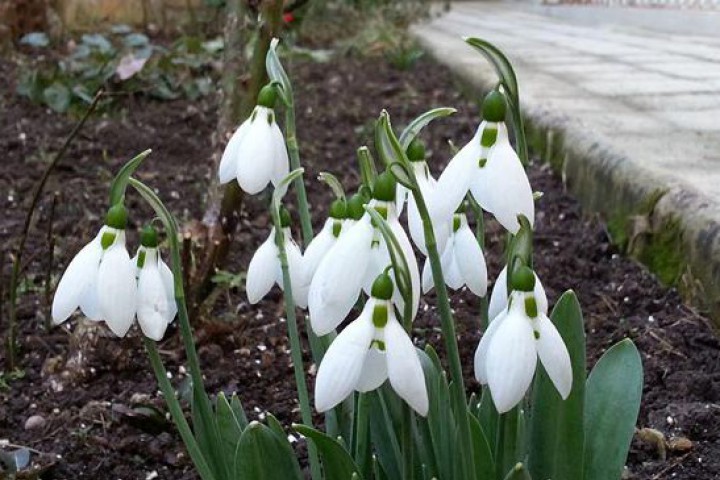 Това съобщи Красимир Стоев синоптик в Националния институт по метеорология