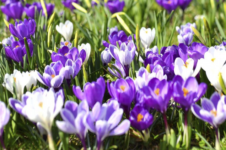 Днес облачността ще бъде значителна Преди обяд на места в