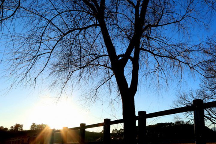 Днес облачността ще остане значителна над централните и източни части