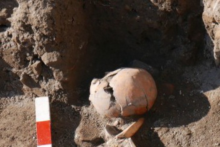 Скелетът разкрит от Мая Мартинова и екипа й е край