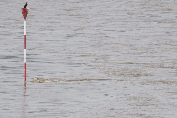 Това съобщава регионалният ежедневник Der K ouml lner Stadt Anzeiger